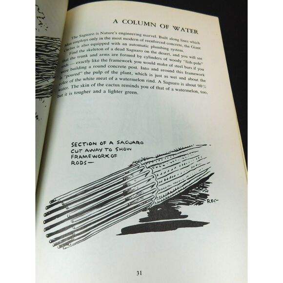 Vintage Humor Artist Book What Kinda Cactus Reg Manning PB Cartoon - Picture 9 of 9